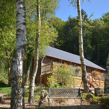 Woodlands Cottage Treignac Pokoj fotografie