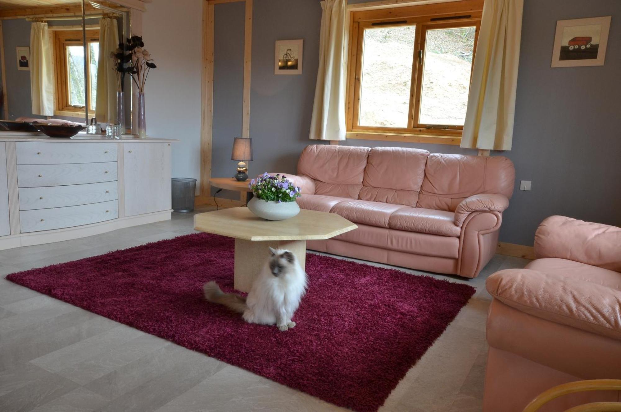 Woodlands Cottage Treignac Exteriér fotografie
